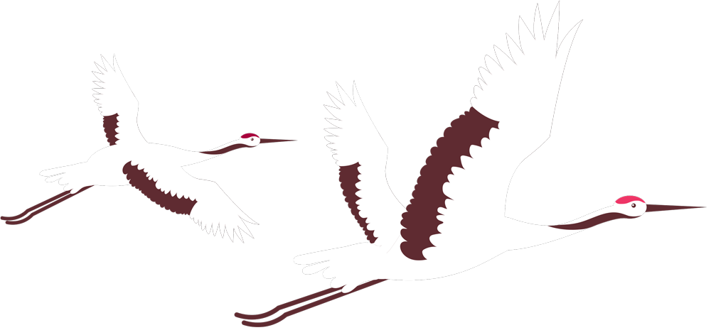 birds