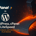 wordpress-litespeed-cpanel-optimization-guide-ninjaweb