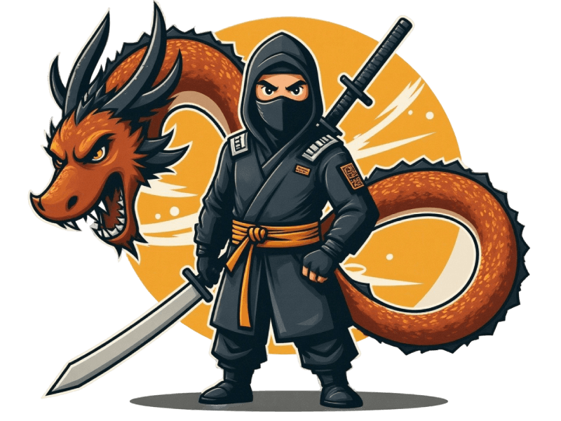 NinjaWeb ninja and dragon digital systems illustration